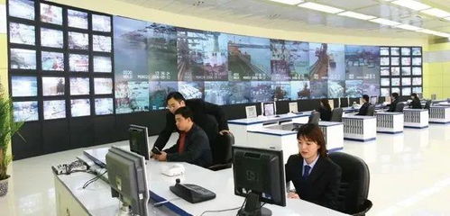 專業群巡禮 青島港灣職業學院信息技術專業群，信息技術咨詢服務探析