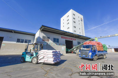 飼料產業助力畜牧漁業發展，廊坊廣陽區太鴻飼料廠產銷兩旺
